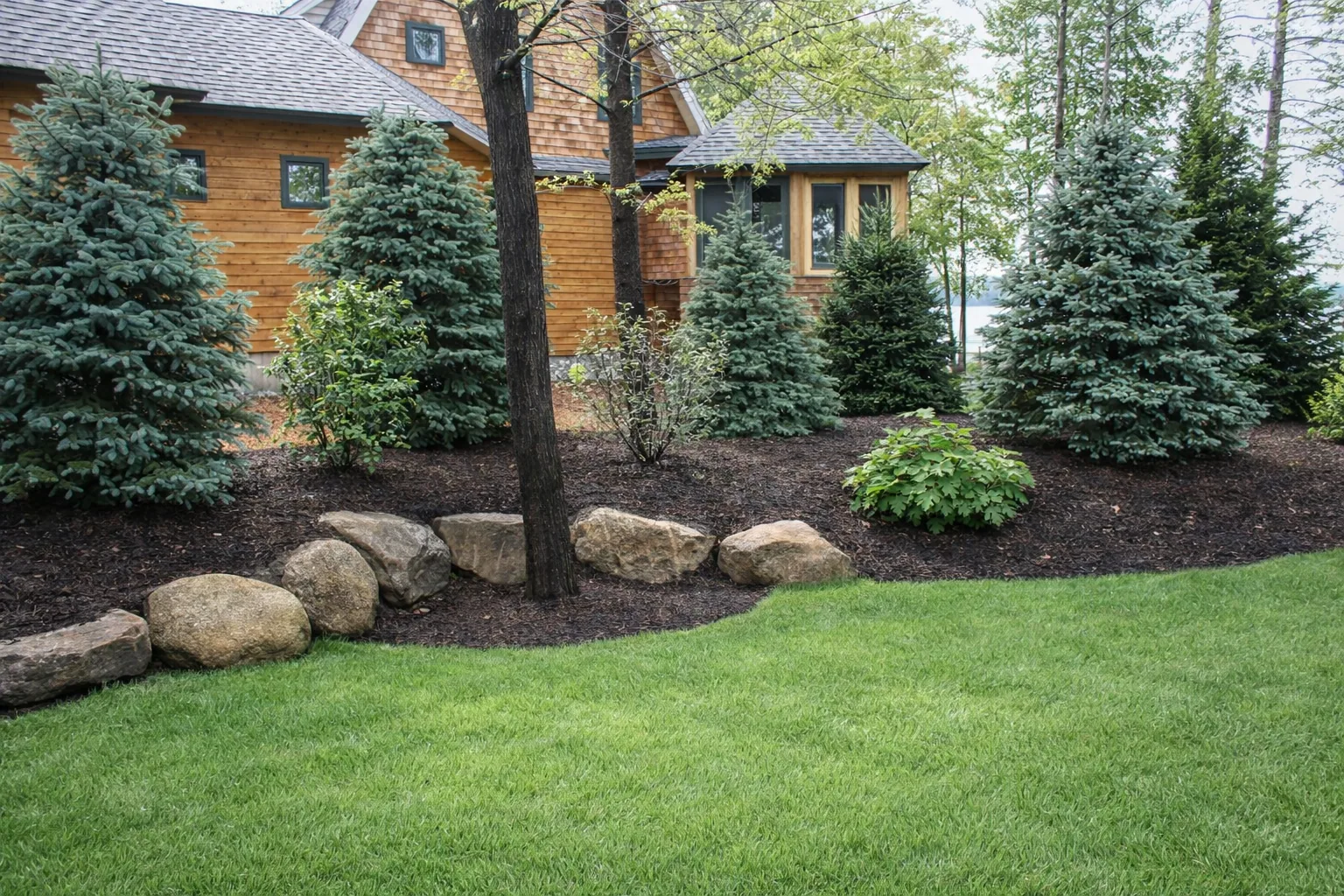 Property Maintenance